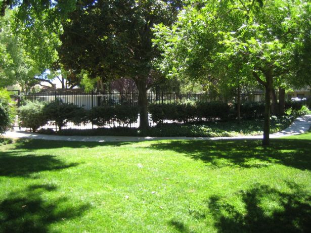 Common Area looking to Pool